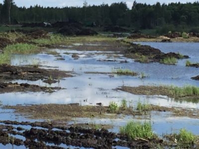 Купить торф Лотошино